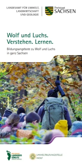 Bild vom Flyer