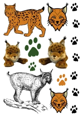 Kinder-Tattoos